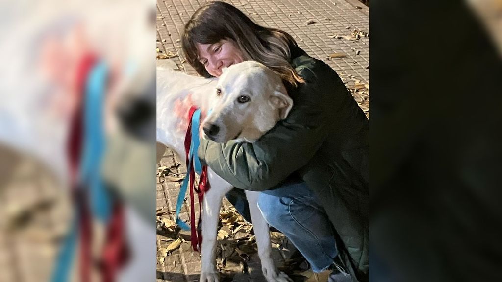 Pandora ya no está sola: la perra abandonada en Huelva encuentra familia en Barcelona