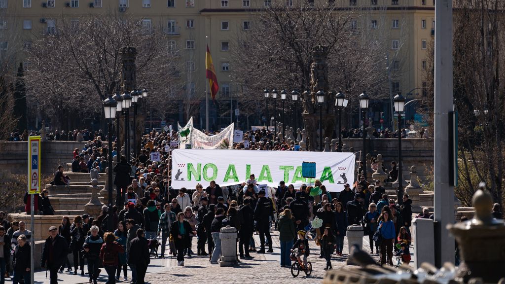 La Justicia deniega la suspensión cautelar de la tala de árboles por la ampliación de la Línea 11 de Metro