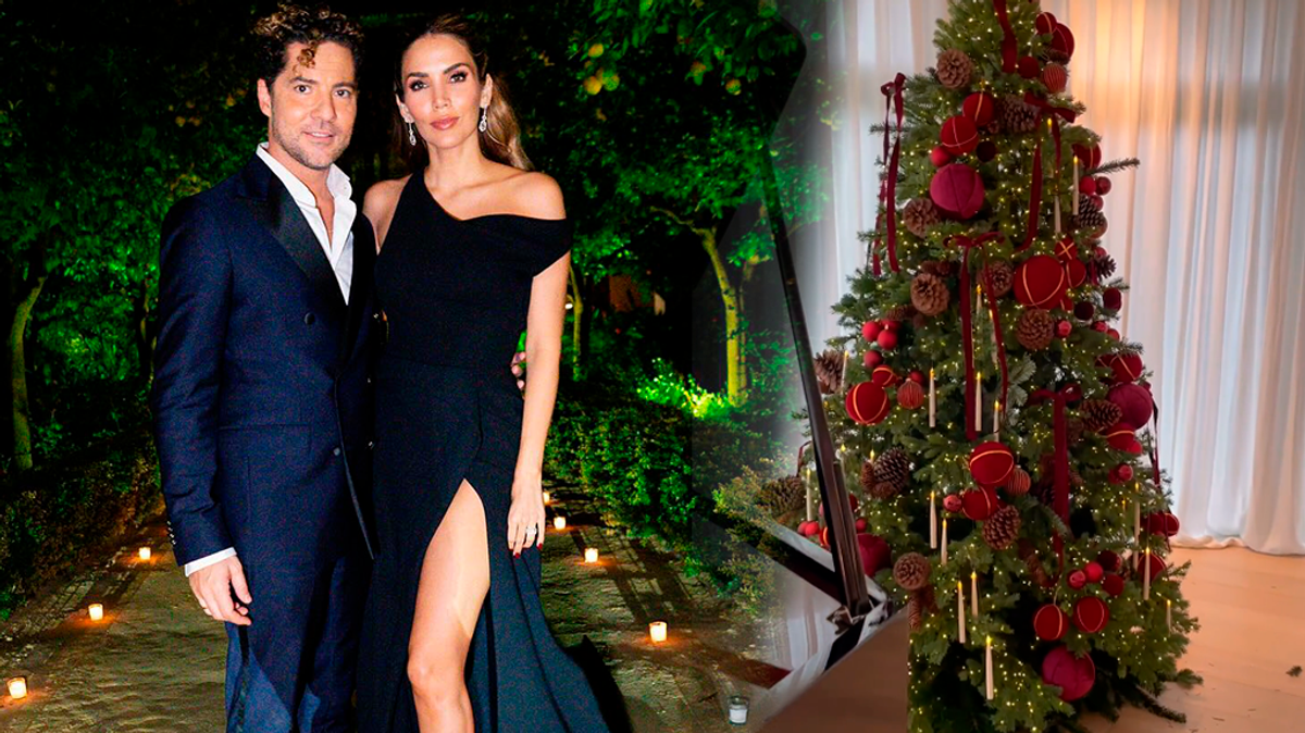Rosanna Zanetti y David Bisbal: así es la decoración navideña de su ...