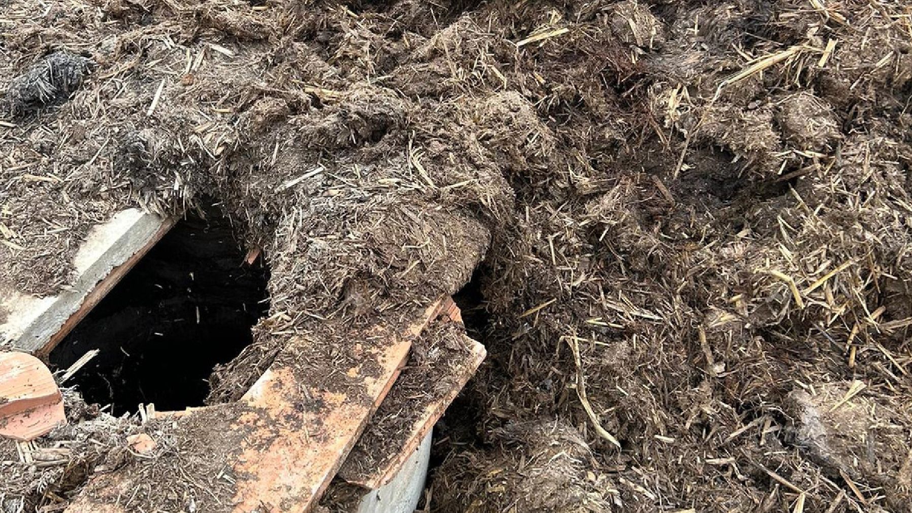 Lugar donde estaban enterrados los animales