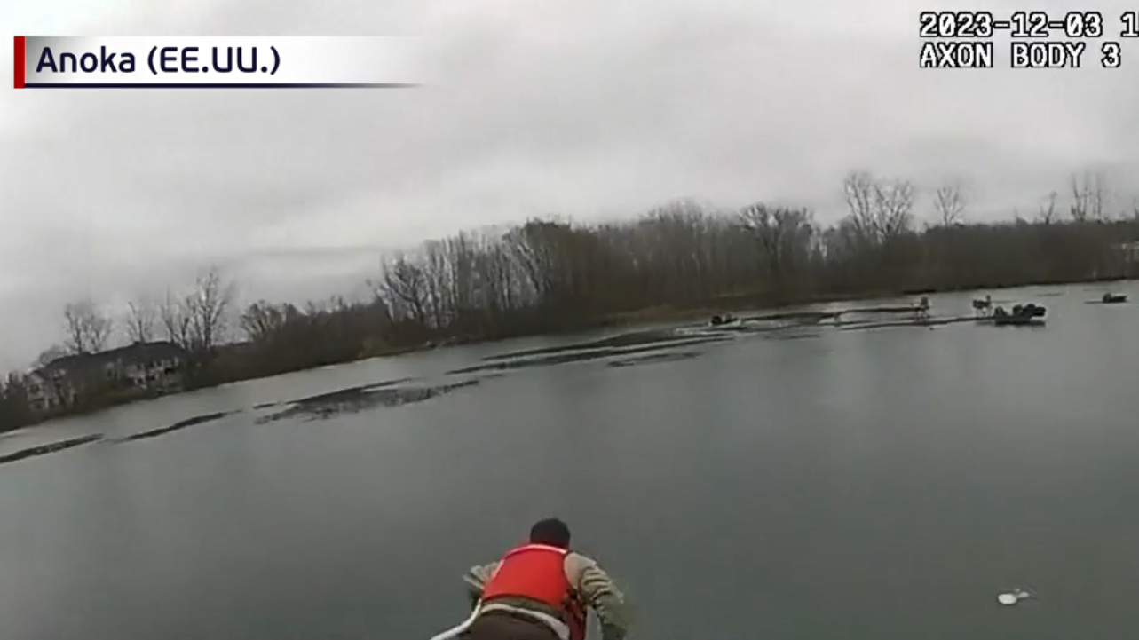 Perro de tres patas salvó a una nutria bebé de morir ahogada en río de  Minnesota 