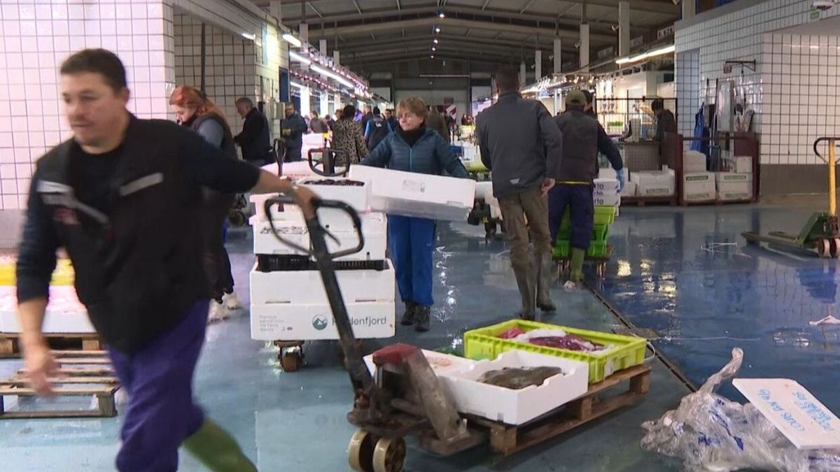 Varias personas trabajando esta pasada madrugada en Mercabilbao