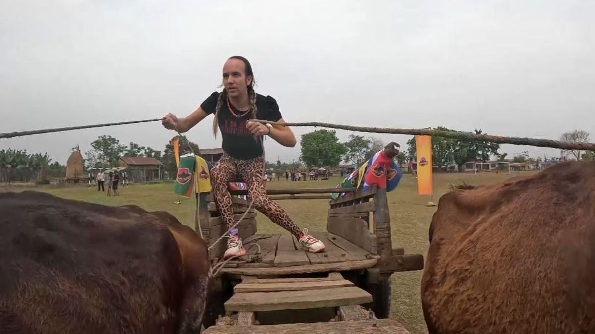 El divertido momento de Aless Gibaja conduciendo un carruaje, en vídeo ...