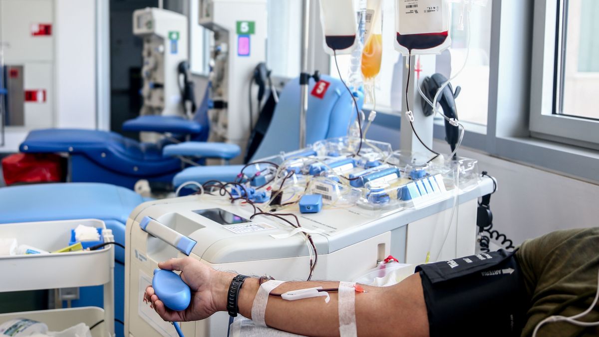 Madrid celebra un maratón de donación de sangre  para garantizar las reservas en Navidad