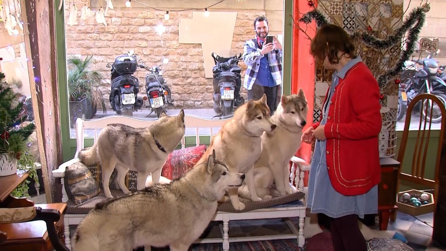 Natalia con sus cuatro animales