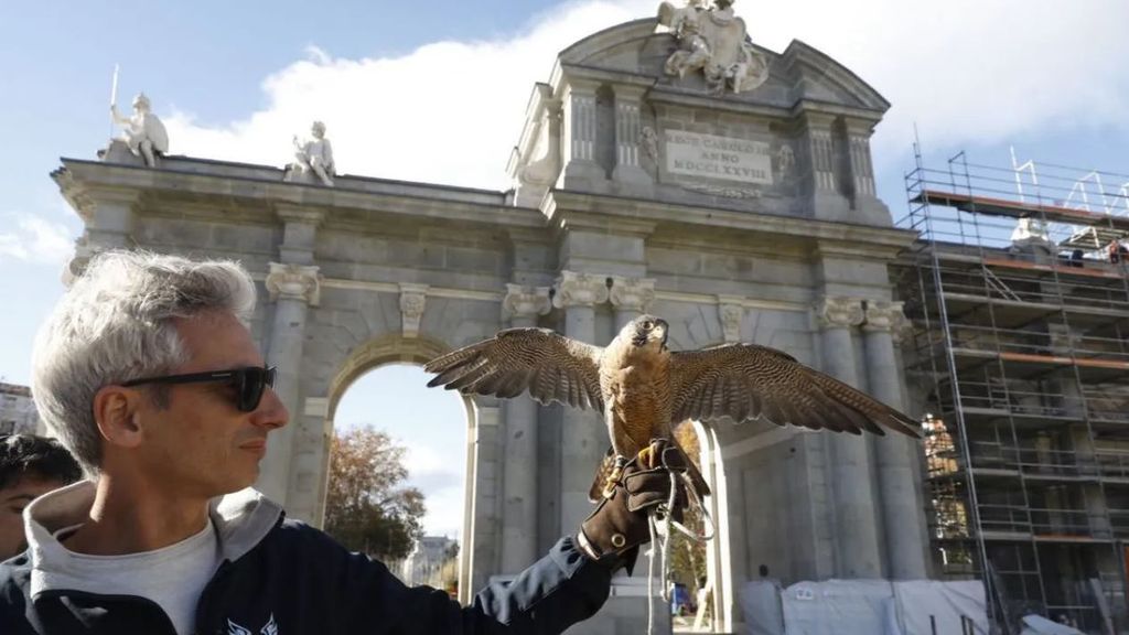 La Puerta de Alcalá estará protegida por dos águilas y un halcón