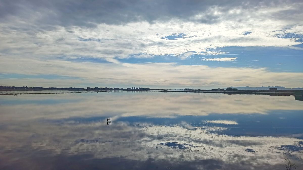 Albufera de Valencia