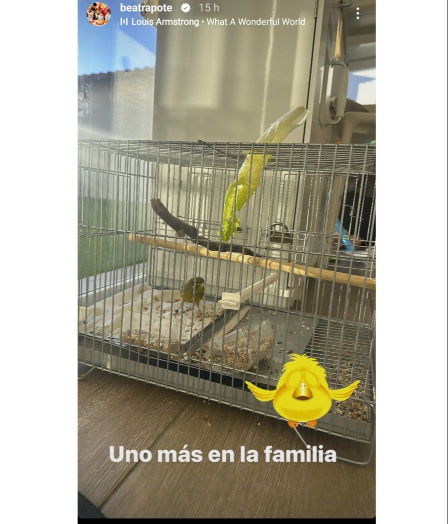 El nuevo miembro de la familia Janeiro-Trapote