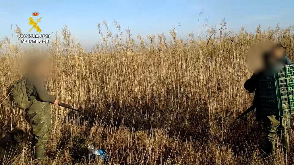 Cazadores de patos salvajes en Doñana