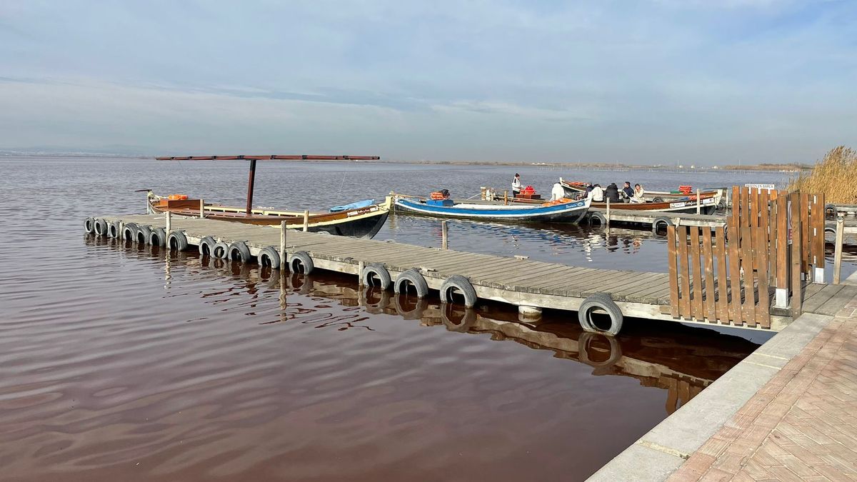 El color rojizo de la Albufera de Valencia se debe a la presencia de un microorganismo desconocido hasta ahora