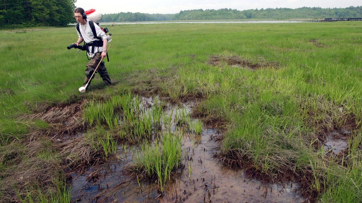 Labores de fumigación contra vectores transmisores de la encefalitis equina occidental en Estados Unidos