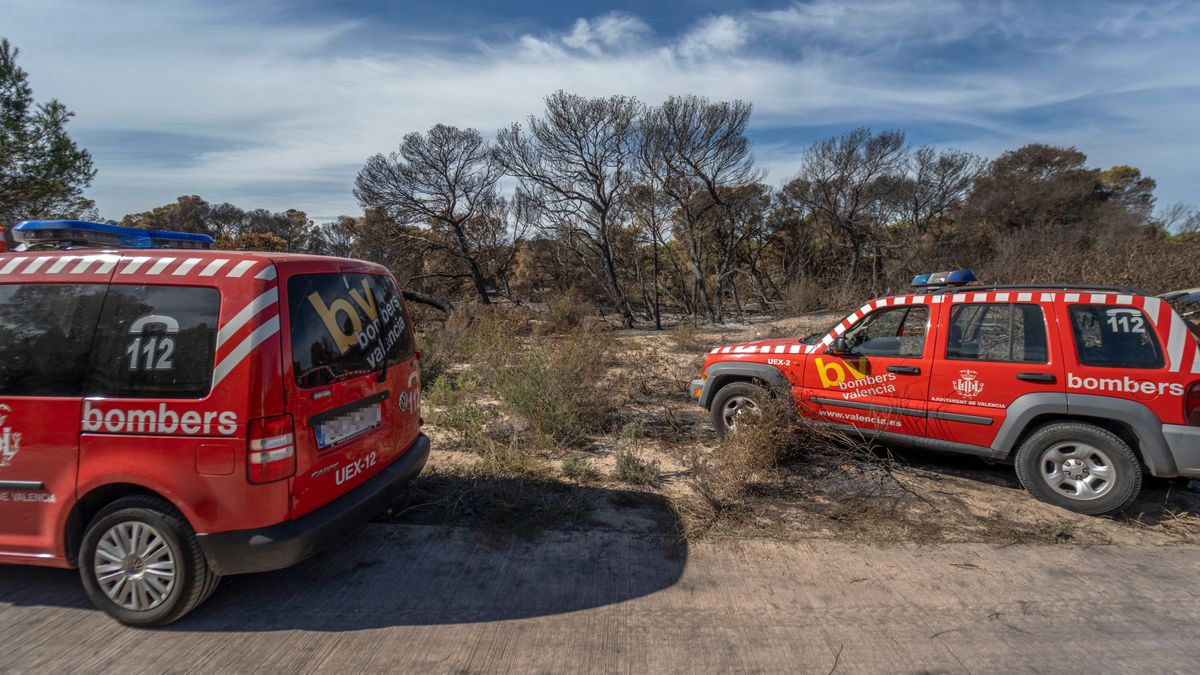 Furgones de bomberos frente a la vegetación afectada por el incendio forestal declarado en el Saler en octubre de 2023