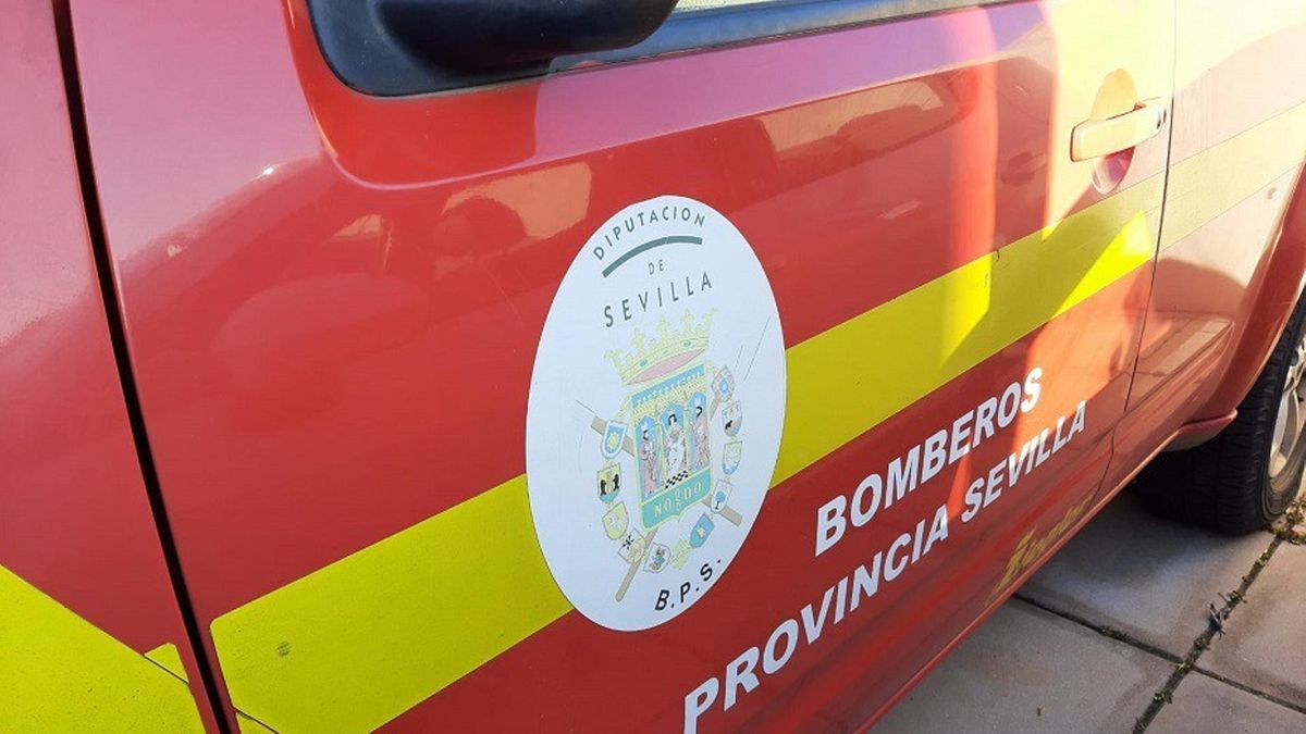 Archivo - Camión de Bomberos de la Diputación de Sevilla