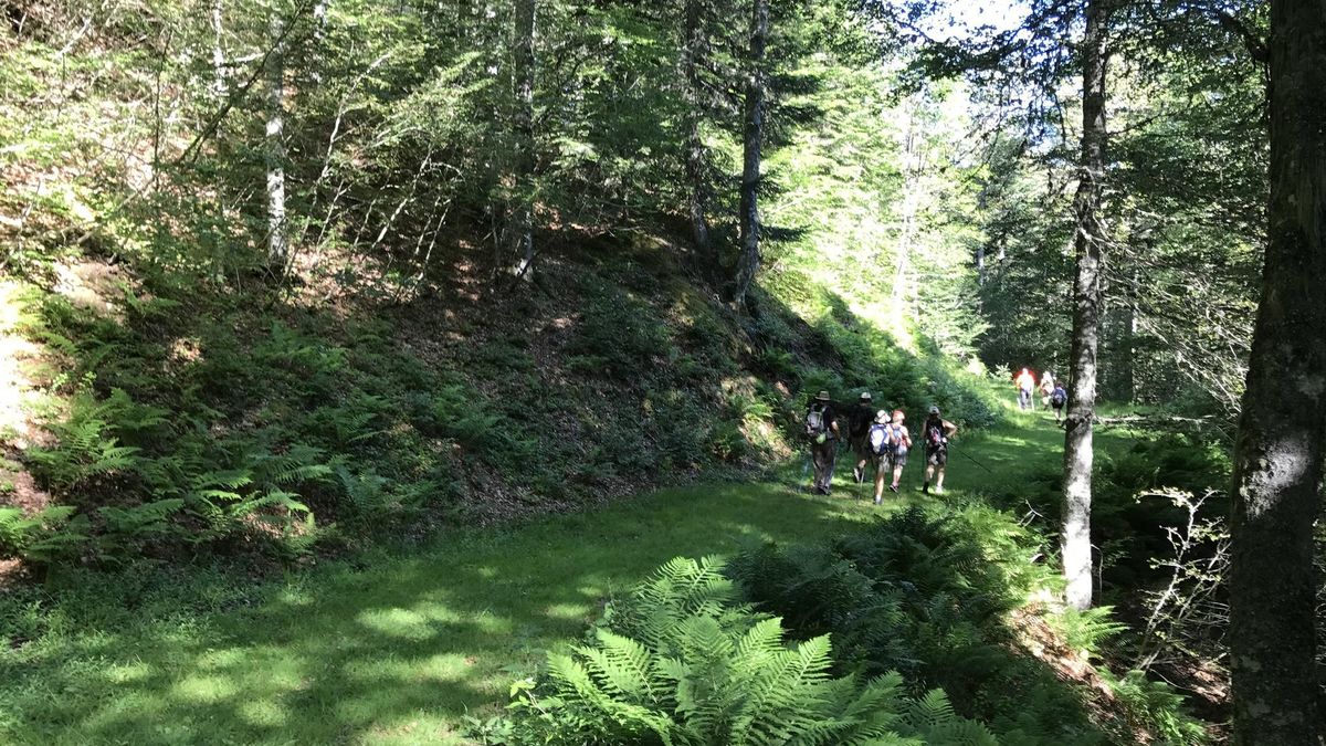 Archivo - Senderismo, marcha nórdica, paisaje de montaña