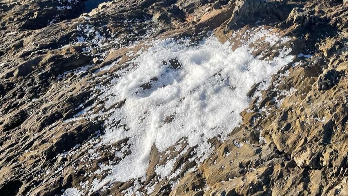 La repentina aparición de estos pellets en los arenales gallegos fue notificada por primera vez en la semana del 15 de diciembre