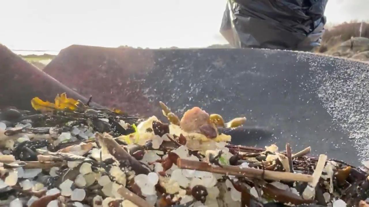 Microbolas de plástico contaminan varias playas gallegas tras perder un barco polaco parte de su carga