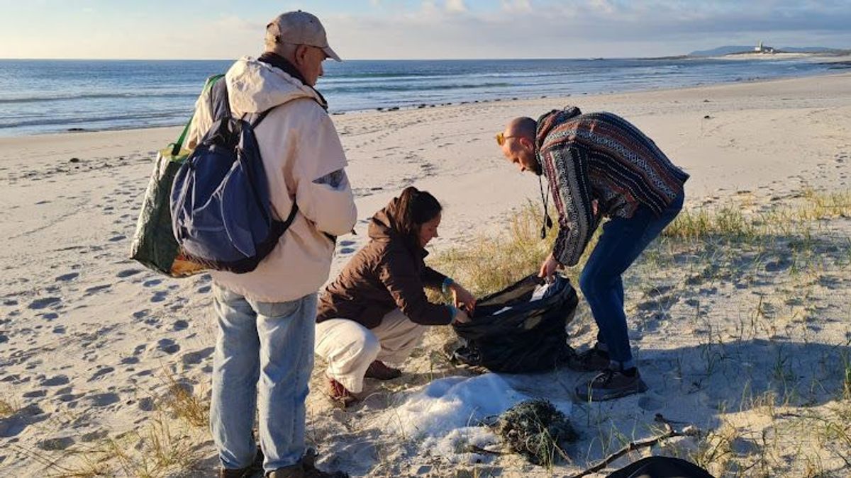 Voluntarios recogen los pellets llegados a una playa de la ría de Muros-Noia