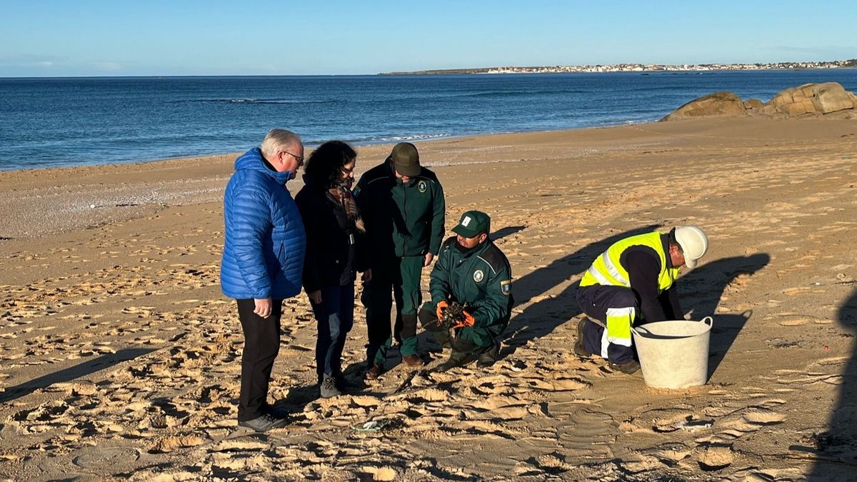 Agentes medioambientales recogen los pellets vertidos en playas de Galicia