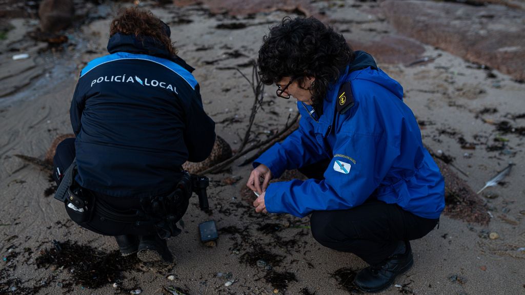 Los pellets de plástico han llegado hasta los arenales de la Illa de Aurosa, Pontevedra