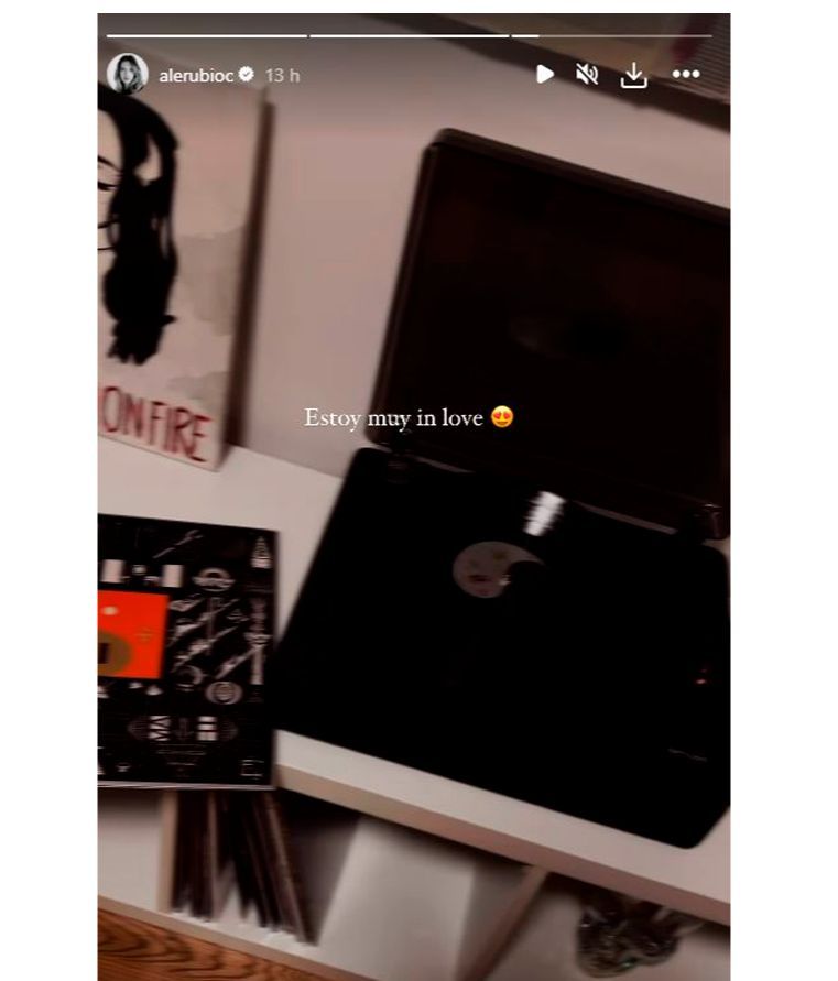 La última adquisición de Alejandra Rubio para su casa