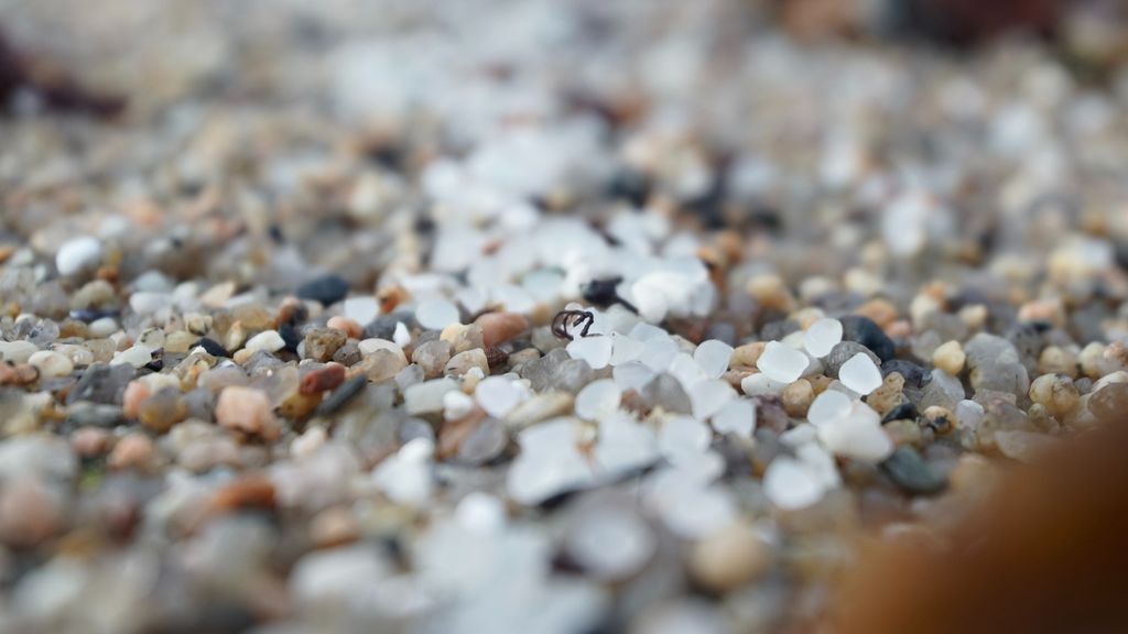 Pellets de plástico en Galicia