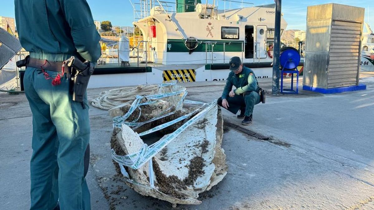 Restos óseos de una ballena