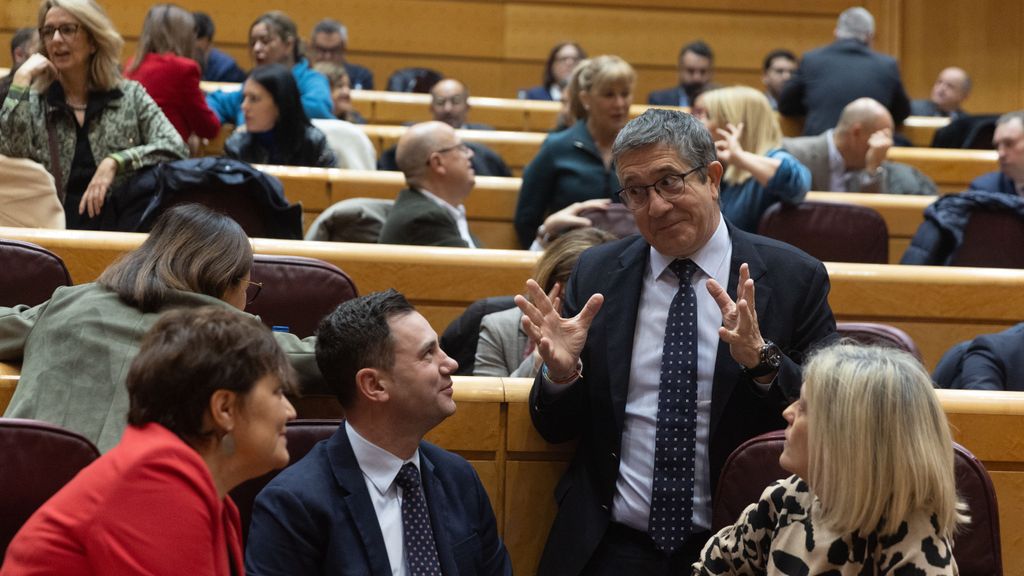 El portavoz del PSOE en el Congreso, Patxi López (2d), durante un pleno del Congreso de los Diputados, en el Palacio del Senado