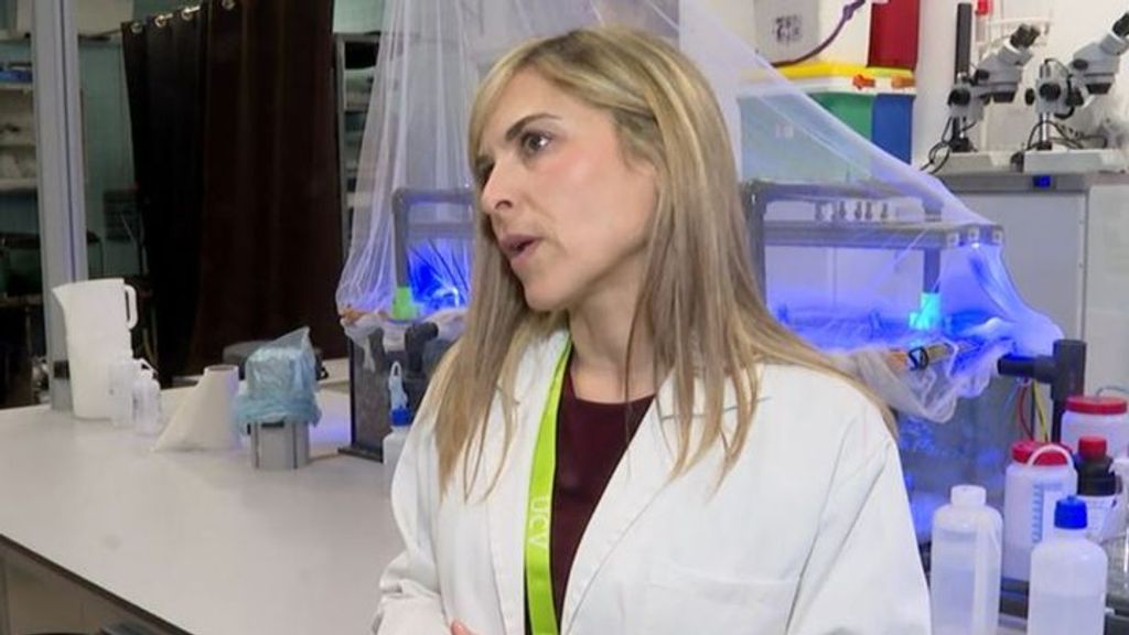 Ana Hernández, investigadora Oceanografía