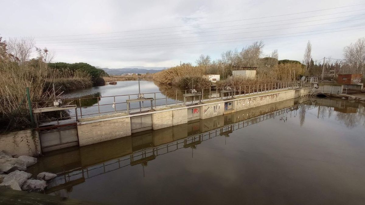 Denuncian un vertido ilegal de aguas fecales en Barcelona