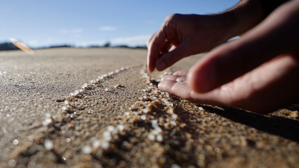 La delegada del Gobierno en Asturias afirma que frenar el vertido de pellets en el mar sería "imposible"
