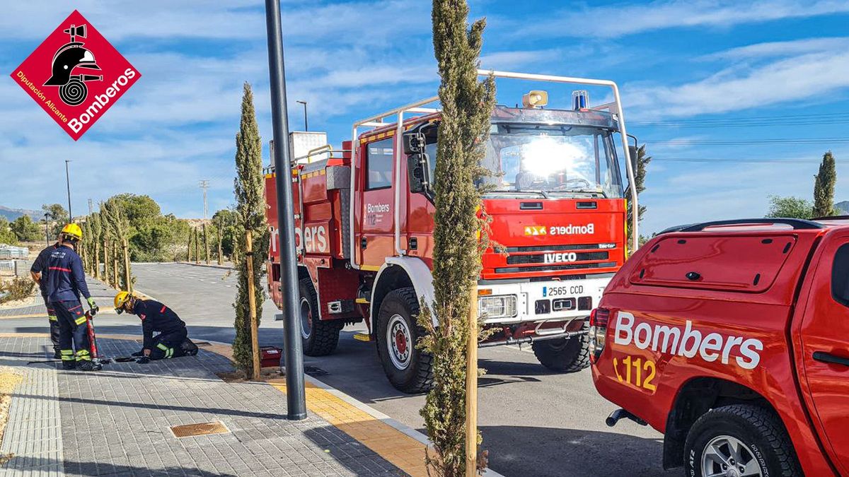 Camión y bomberos de Alicante