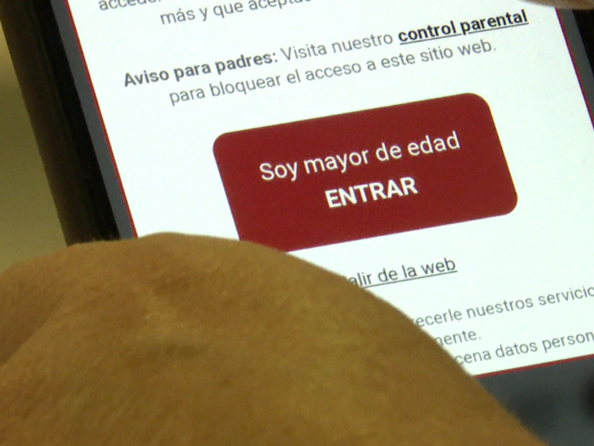 El Gobierno prepara una ley que limite el acceso de los menores al porno en  Internet