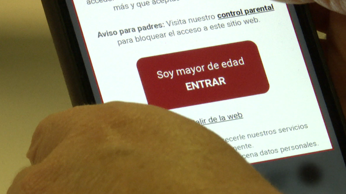 El Gobierno prepara una ley que limite el acceso de los menores al porno en  Internet