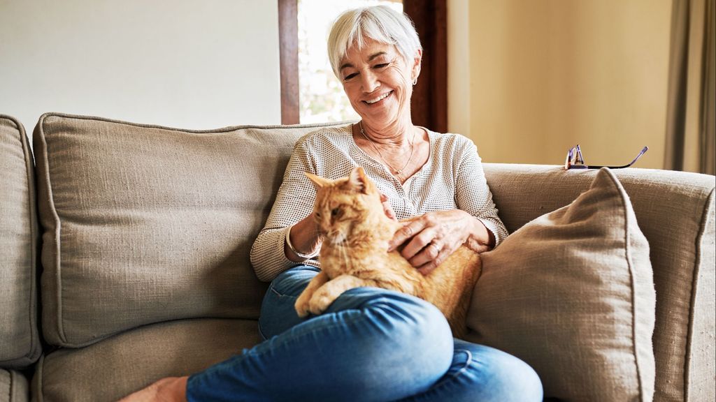 Amor filial.¿Por qué los gatos son los mejores compañeros de las personas mayores?