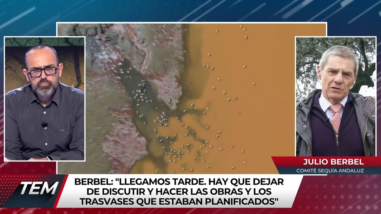 Todo es mentira