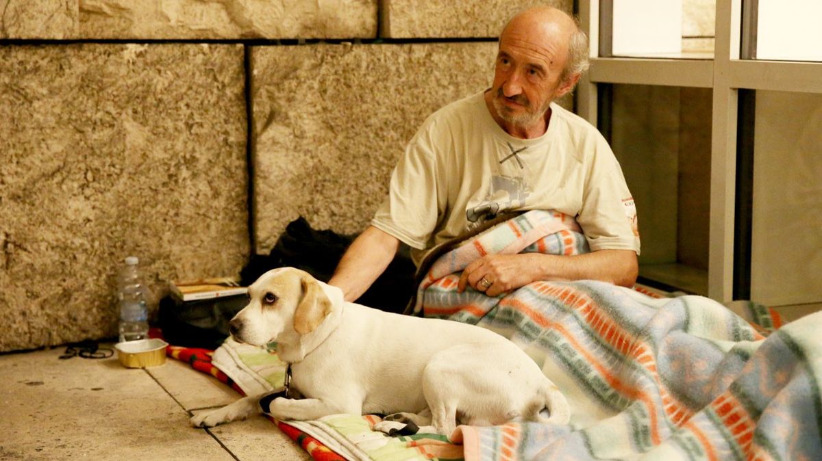 Persona sin hogar con mascota