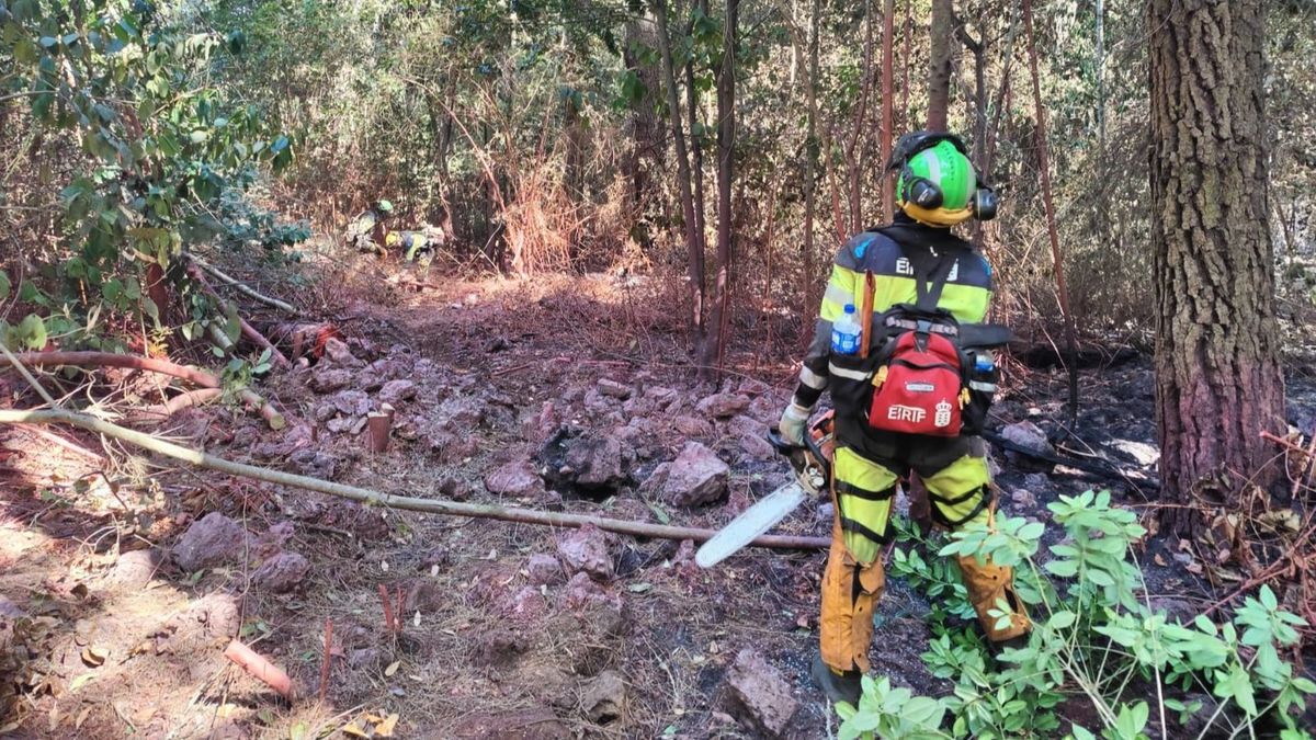 Equipos de la EIRIF participan en las labores de extinción del incendio forestal que afecta a la isla de Tenerife desde el pasado 15 de agosto