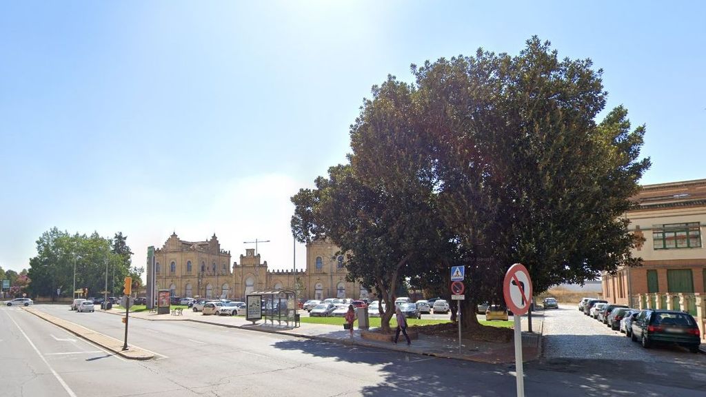 Ficus centernario al lado de la antigua estacion de tren en Huelva