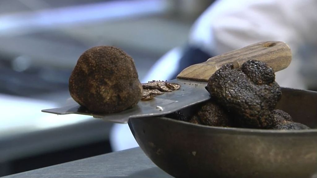 La trufa negra, joya gastronómica de Soria: un kilo puede alcanzar los 1.500 euros