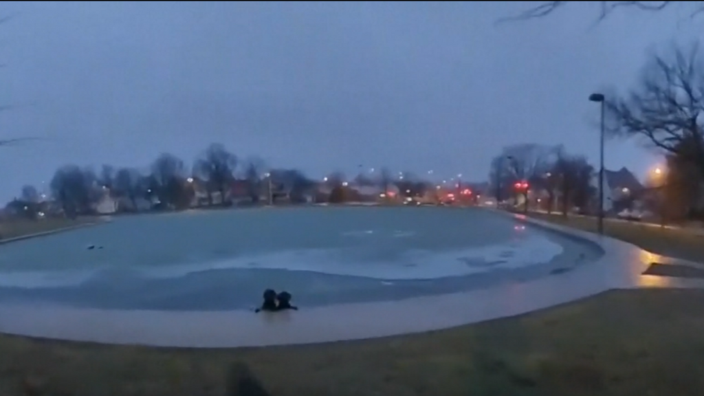 La actuación heroica de un policía salva la vida a dos perros que cayeron a un estanque helado en EEUU