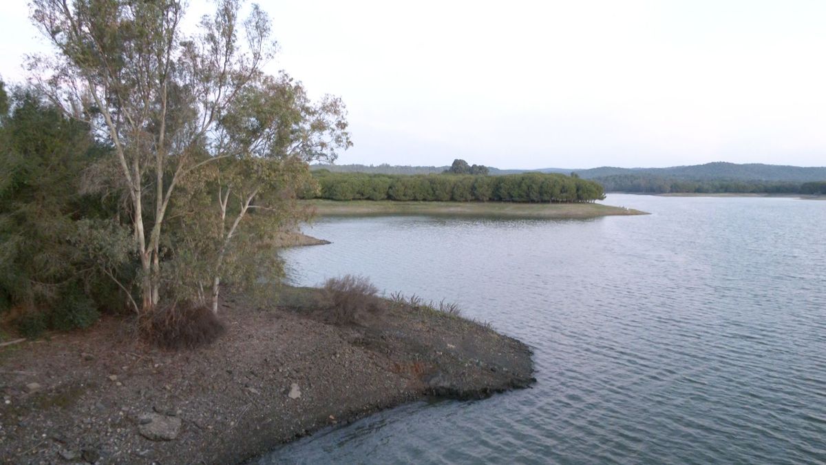 Embalse del Jergal, en Guillena (Sevilla) esta mañana