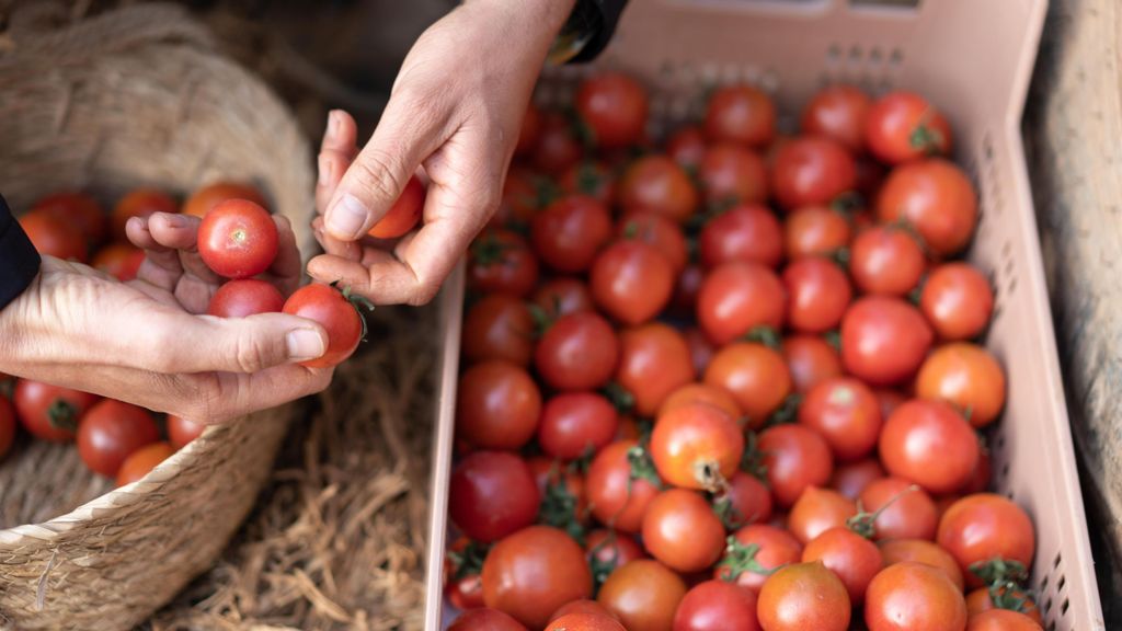 La exministra francesa de Ecología, Ségolène Royal, en plena crisis de agricultores: “Los productos bio españoles son falsos bio”