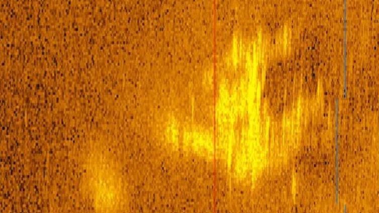 La imagen o anomalía captada por el sonar de Deep Sea Vision