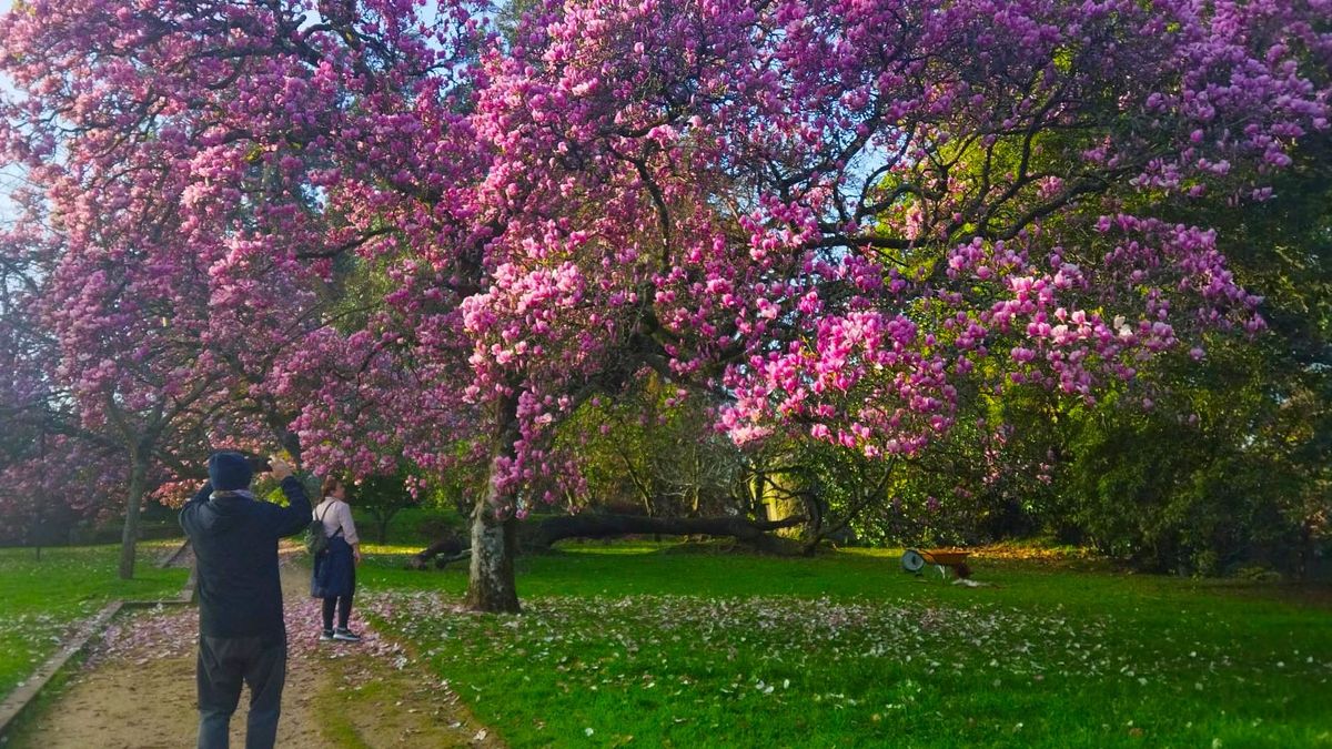 La naturaleza se viste de una paleta incontable de colores para anunciarnos la llegada de la primavera