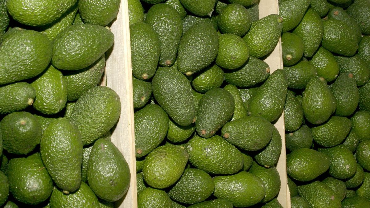 Aguacates