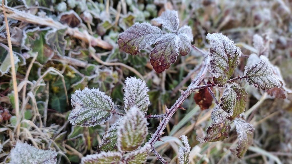 Alerta por bajas temperaturas en cinco comunidades autónomas, con mínimas de 10 grados bajo cero en Lleida