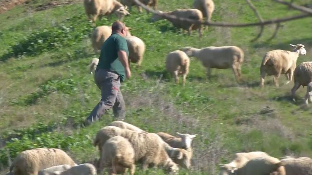 Las demandas del sector agrícola europeo llegan a Bruselas: exigen acabar con la competencia desleal