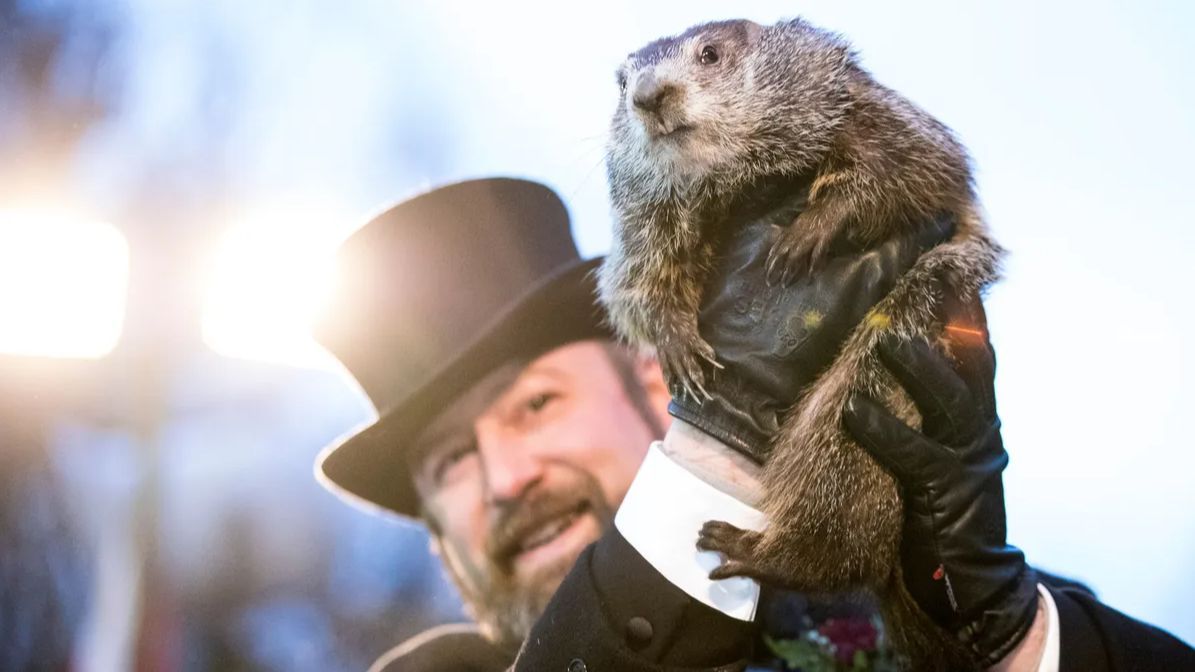 La marmota Phil sale de su madriguera y ya tiene pronóstico: la primavera se adelanta