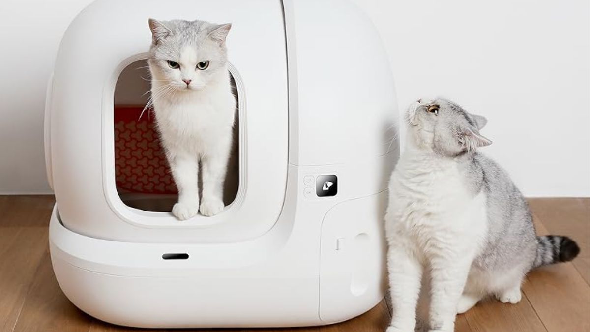 Este es el arenero para gatos autolimpiable más innovador y completo y está  disponible en