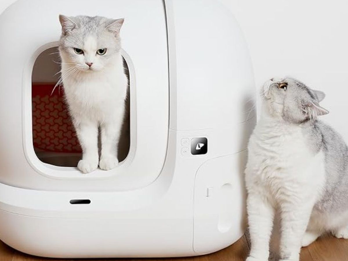 Este es el arenero para gatos autolimpiable más innovador y completo y está  disponible en  ¡con un descuento de 160€!